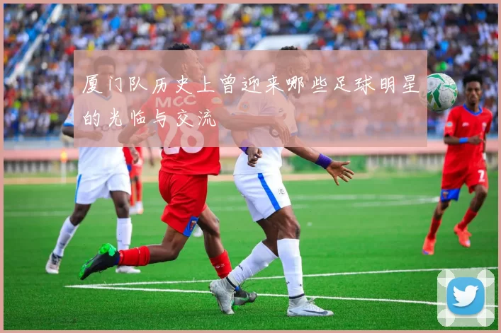 厦门队历史上曾迎来哪些足球明星的光临与交流