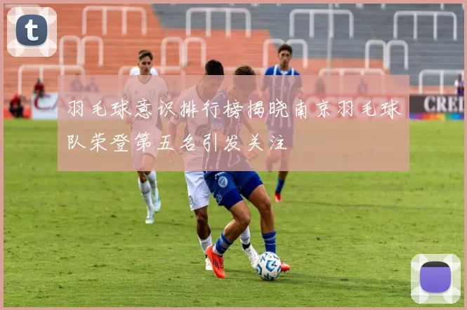 羽毛球意识排行榜揭晓南京羽毛球队荣登第五名引发关注