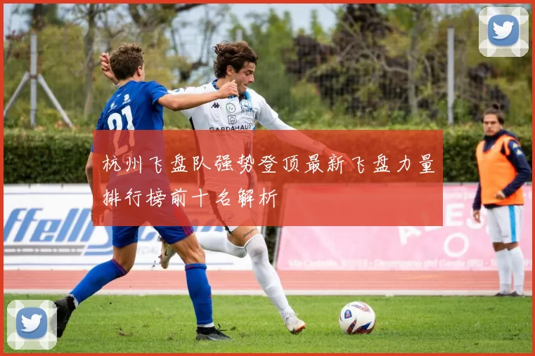 杭州飞盘队强势登顶最新飞盘力量排行榜前十名解析