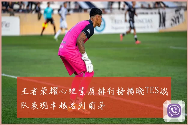 王者荣耀心理素质排行榜揭晓TES战队表现卓越名列前茅