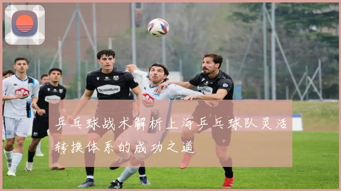 乒乓球战术解析上海乒乓球队灵活转换体系的成功之道