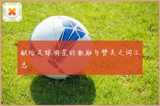 献给足球明星的激励与赞美之词汇总