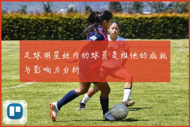 足球明星姓内的球员是谁他的成就与影响力分析