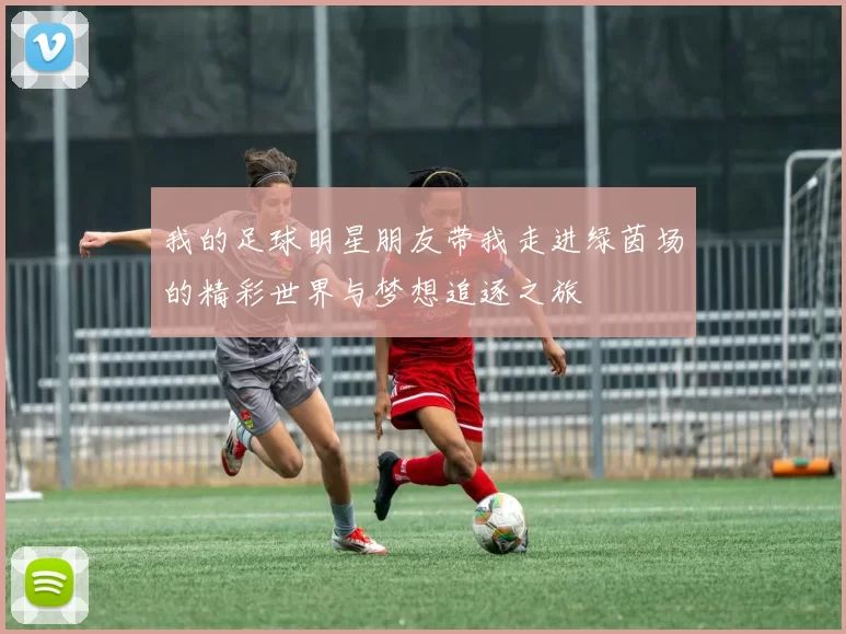 我的足球明星朋友带我走进绿茵场的精彩世界与梦想追逐之旅