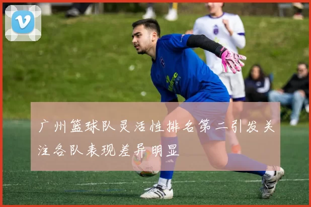 广州篮球队灵活性排名第二引发关注各队表现差异明显