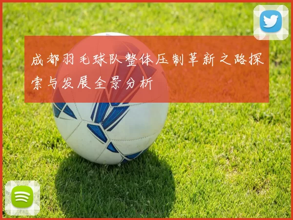 成都羽毛球队整体压制革新之路探索与发展全景分析