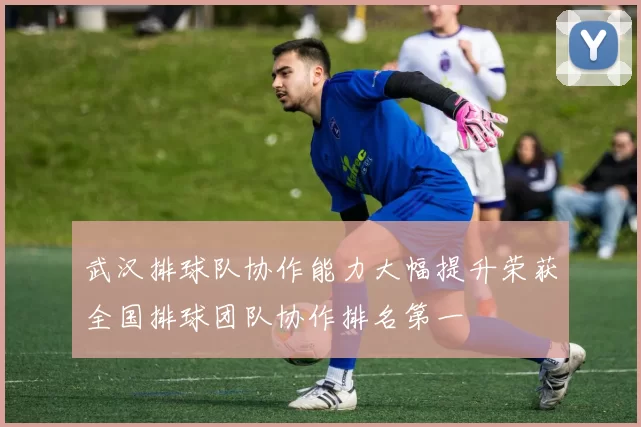 武汉排球队协作能力大幅提升荣获全国排球团队协作排名第一