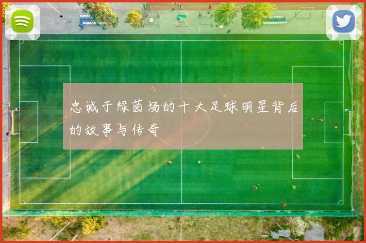 忠诚于绿茵场的十大足球明星背后的故事与传奇