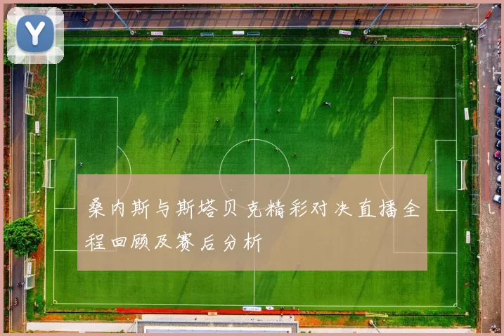 桑内斯与斯塔贝克精彩对决直播全程回顾及赛后分析