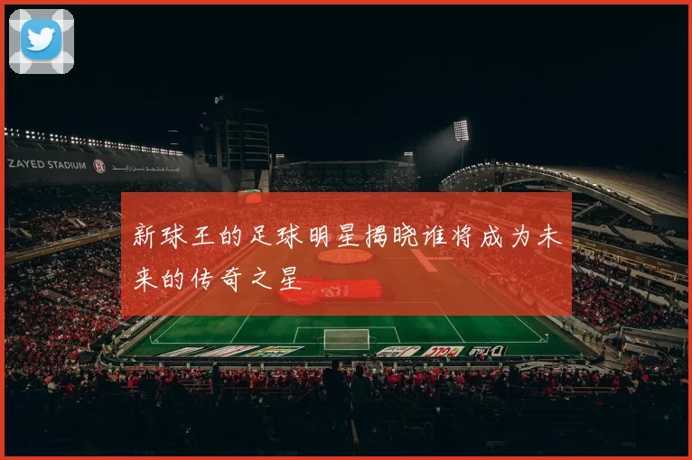 新球王的足球明星揭晓谁将成为未来的传奇之星