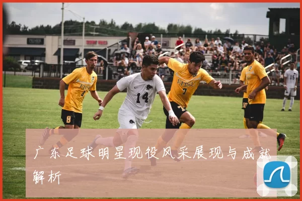 广东足球明星现役风采展现与成就解析