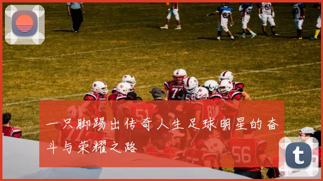 一只脚踢出传奇人生足球明星的奋斗与荣耀之路