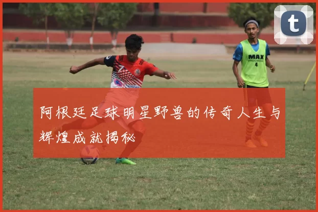 阿根廷足球明星野兽的传奇人生与辉煌成就揭秘