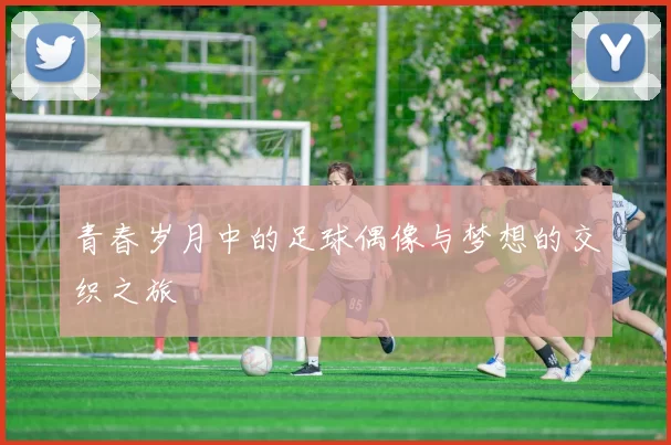 青春岁月中的足球偶像与梦想的交织之旅