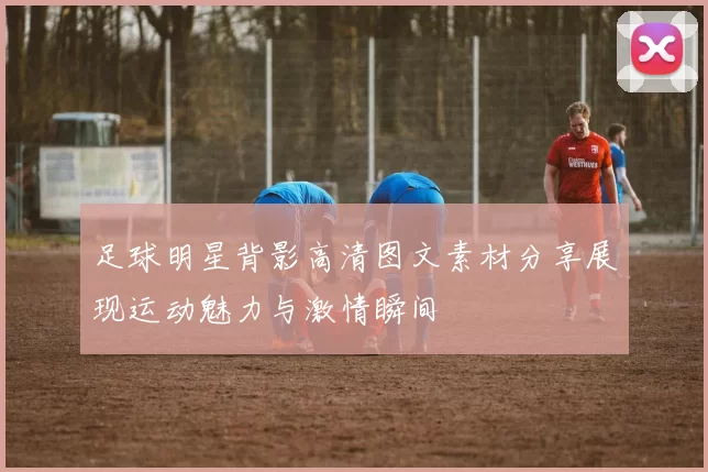 足球明星背影高清图文素材分享展现运动魅力与激情瞬间