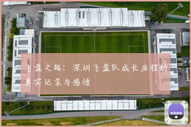 飞盘之路：深圳飞盘队成长历程的真实记录与感悟