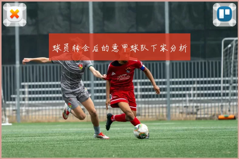 球员转会后的意甲球队下家分析
