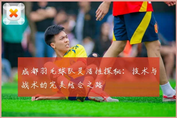 成都羽毛球队灵活性探秘：技术与战术的完美结合之路