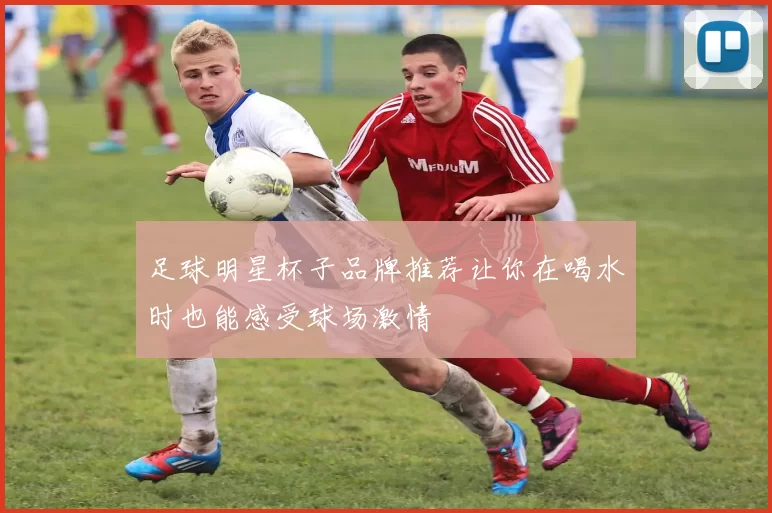 足球明星杯子品牌推荐让你在喝水时也能感受球场激情