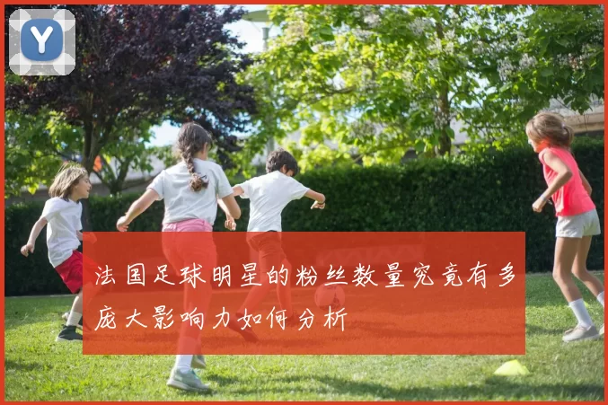 法国足球明星的粉丝数量究竟有多庞大影响力如何分析