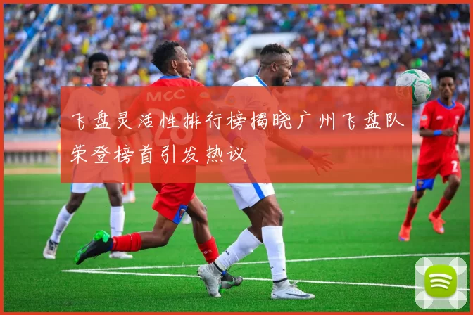 飞盘灵活性排行榜揭晓广州飞盘队荣登榜首引发热议