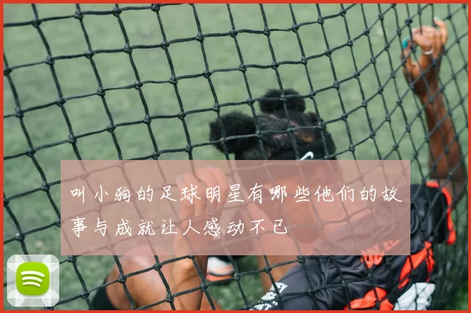 叫小狗的足球明星有哪些他们的故事与成就让人感动不已