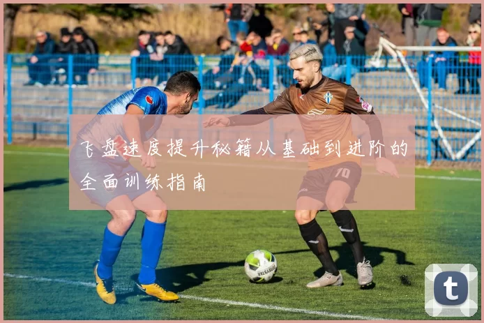飞盘速度提升秘籍从基础到进阶的全面训练指南
