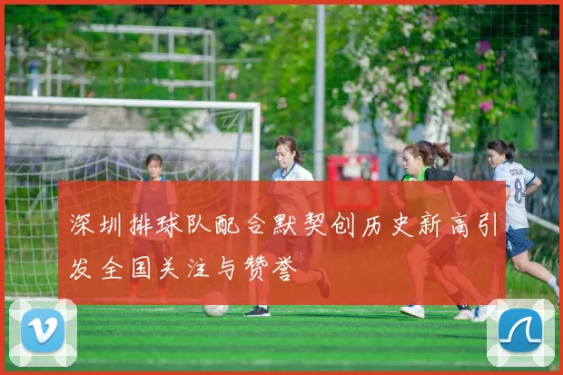 深圳排球队配合默契创历史新高引发全国关注与赞誉